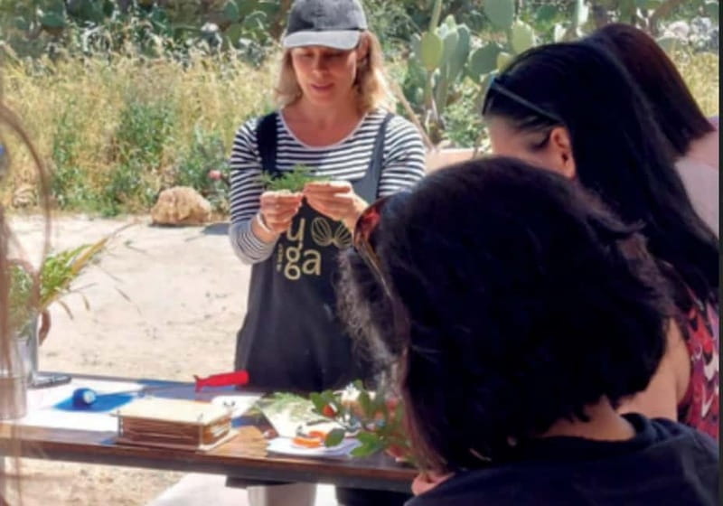Botanical workshop & Nepeta's bitters tasting in Val di Noto - Key Points / Takeaways