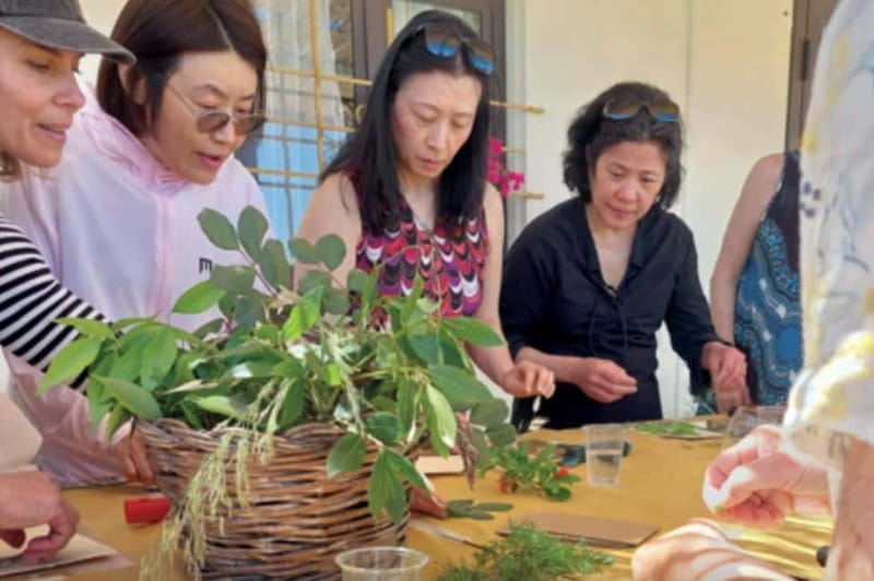 Botanical workshop & Nepeta's bitters tasting in Val di Noto - Discovering the Secrets of Nepeta’s Artisanal Bitters