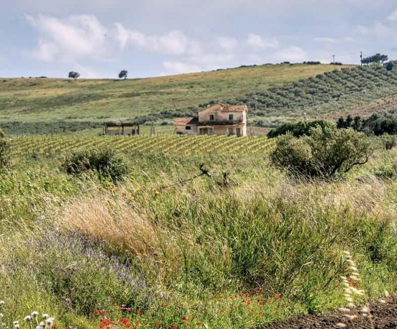 Botanical workshop & Nepeta's bitters tasting in Val di Noto - Final Thoughts: Who Should Sign Up?