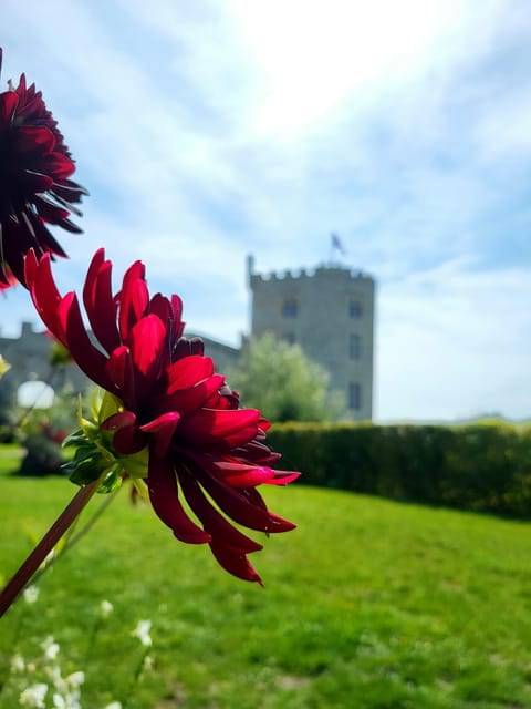 Boulogne: Discovery of the Old Town - FAQ