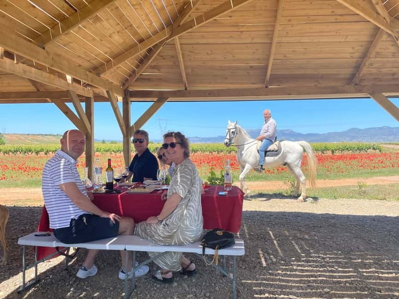 Boutique Rioja Wine Tour with Charming Lunch (From Bilbao) - The Journey Begins: From Bilbao to Rioja