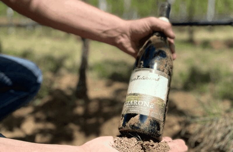 Boutique Winery Tour & Tasting in Valpolicella - The Tasting Experience & Food Pairings