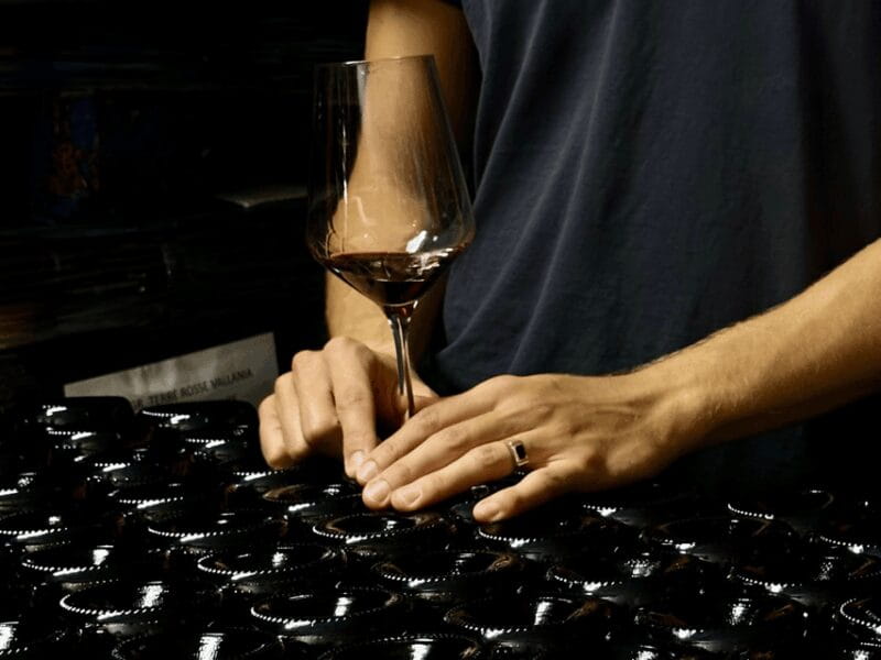 Boutique Winery Tour with Wine Tasting & Food in Bologna - Key points / Takeaways