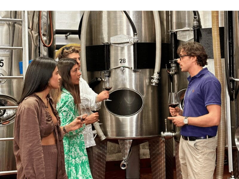 Boutique Winery Tour with Wine Tasting & Food in Bologna - Entering the Heart of Emilia-Romagna’s Wine Country