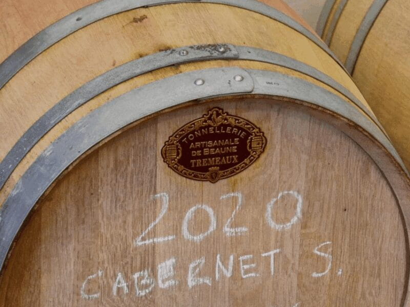 Boutique Winery Tour with Wine Tasting & Food in Bologna - Price and Logistics: Good Value for a Genuine Experience