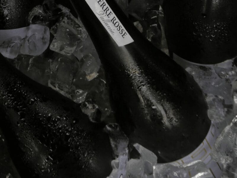 Boutique Winery Tour with Wine Tasting & Food in Bologna - Who This Tour Is Best For