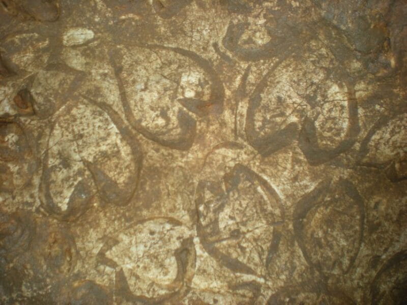 Bovec: Mountain Caving Adventure - Key points / Takeaways