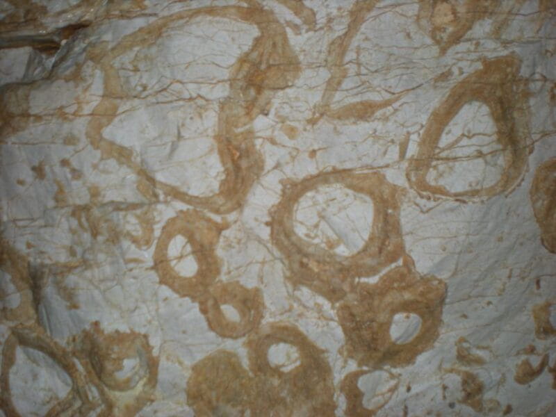 Bovec: Mountain Caving Adventure - Exploring the Cave: What to Expect in Detail