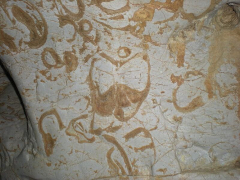 Bovec: Mountain Caving Adventure - FAQ