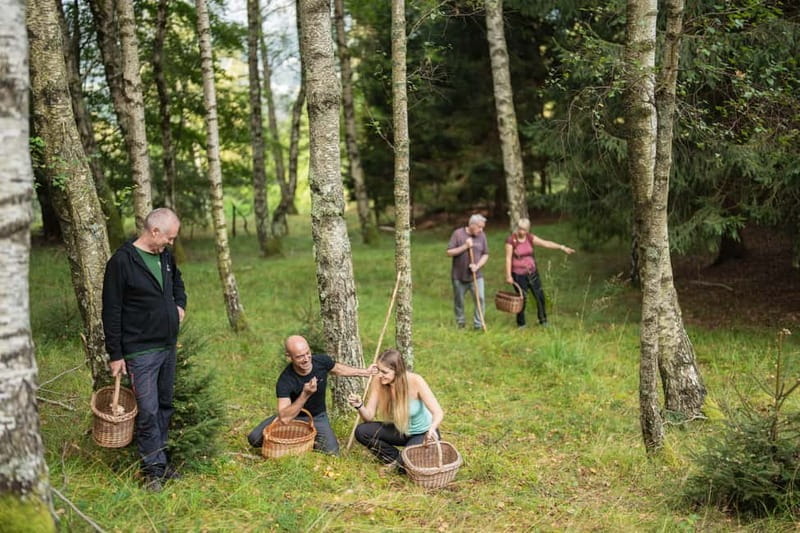 Bovec: Mushroom Picking and Culinary Session - Key Points / Takeaways