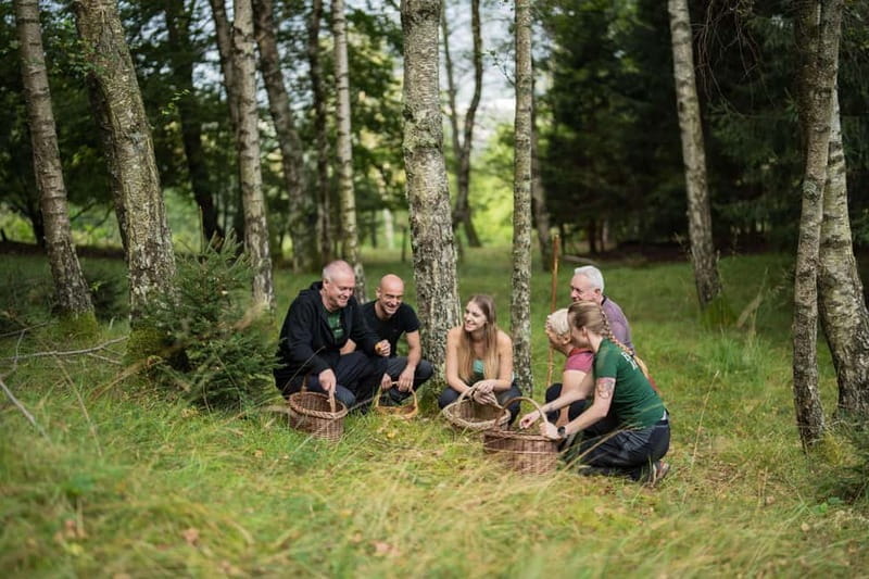 Bovec: Mushroom Picking and Culinary Session - Discovering the Charm of Bovec’s Mushroom Picking and Cooking Tour