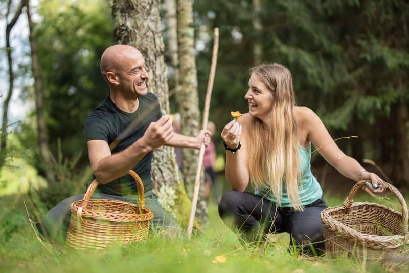 Bovec: Mushroom Picking and Culinary Session - Price and Logistics