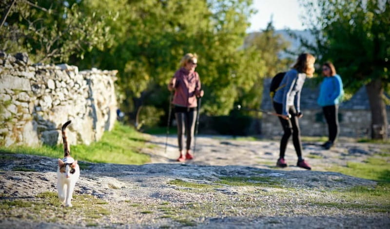 Bra island: Hiking Vidova gora krip Museum of olive oil - Key Points / Takeaways