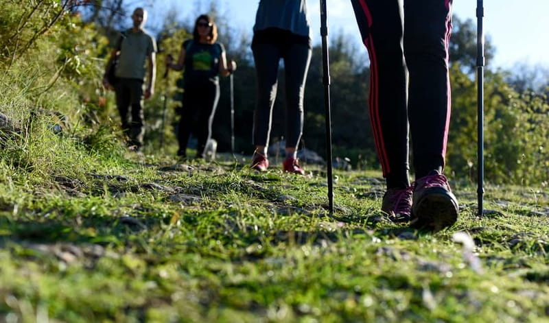 Bra island: Hiking Vidova gora krip Museum of olive oil - Price and Value Consideration