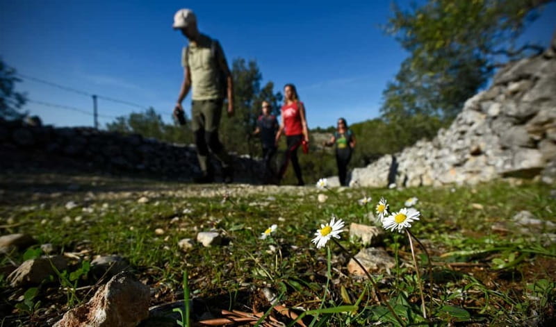 Bra island: Hiking Vidova gora krip Museum of olive oil - FAQs