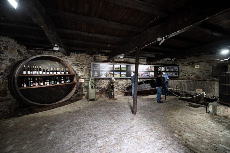 BRAGA E GUIMARÃES c/ Visit to a wine estate and wine tasting - Who This Tour Is Best For