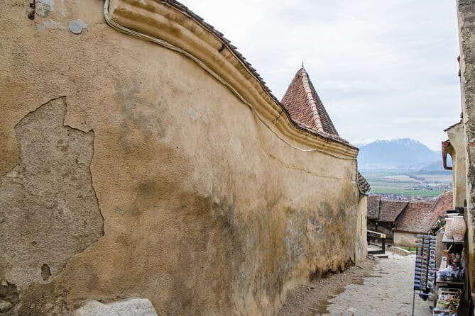 Bran Castle, Bear Sanctuary, and Rasnov Fortress Half Day Tour - Final Thoughts