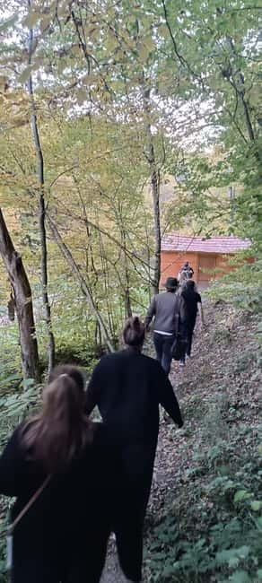 Braov: 4-Hour Bear Watching Tour in Carpathian Mountains - Entering the Forest: The Journey Begins