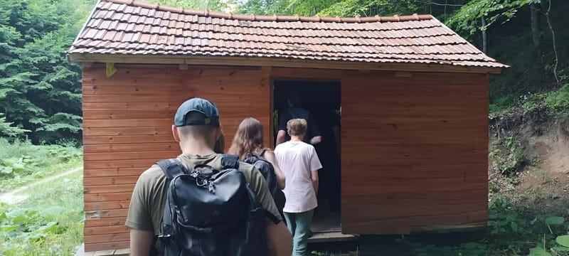 Braov: 4-Hour Bear Watching Tour in Carpathian Mountains - Frequently Asked Questions