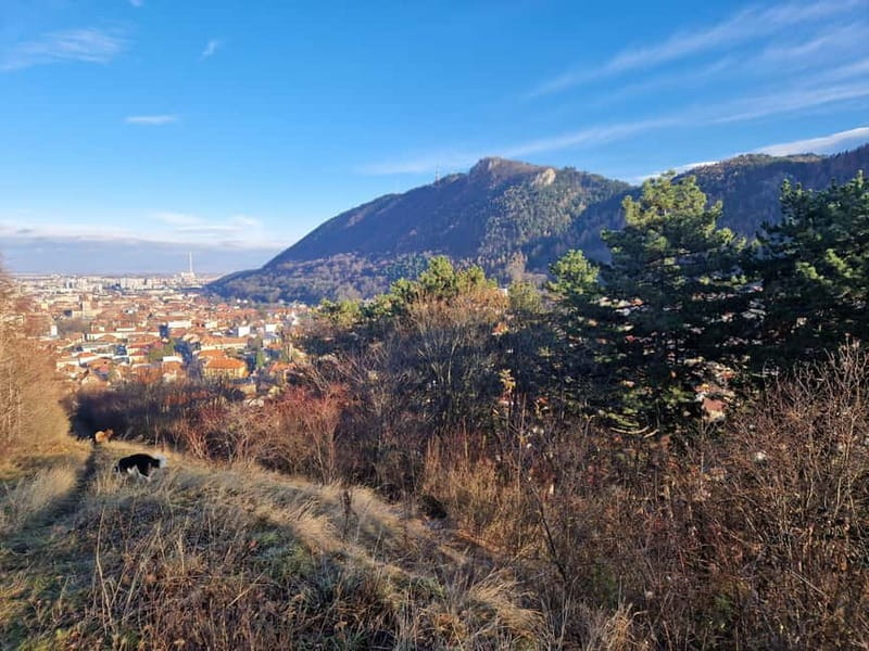 Braovs Secret Tastes & Stories - Exploring Braov’s Medieval Streets and Hidden Gems