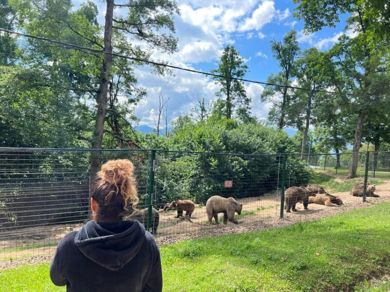 Brasov: Bran Castle, Bear Sanctuary, Rasnov (Peles Optional) - Key points / Takeaways