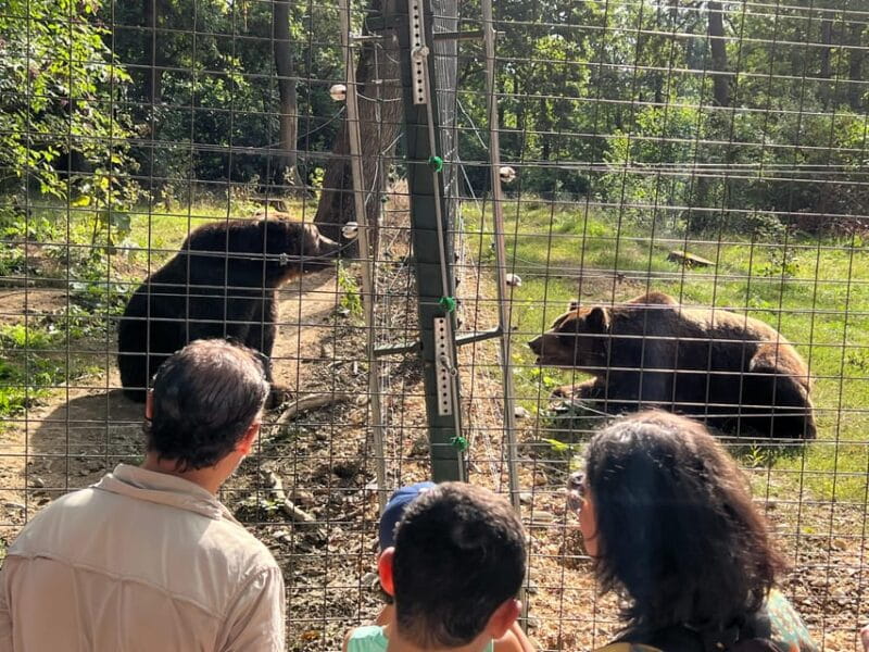 Brasov: Bran Castle, Bear Sanctuary, Rasnov (Peles Optional) - FAQ