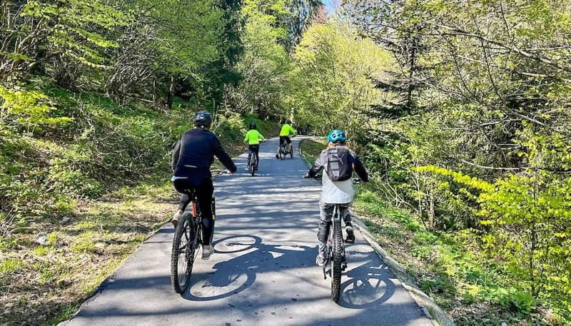 Brasov: eBike Tour to Poiana Brasov (Old Town & Forest) - Who Should Consider This Tour