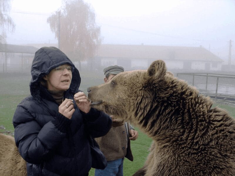 Brasov: Libearty Bear Sanctuary - Exploring the Sanctuary: What You Can Expect on the Day