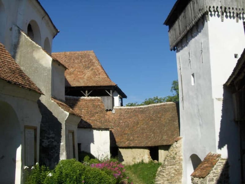 Brasov: Saxon Fortified Churches Day Tour with Guide - An In-Depth Look at the Tour Experience