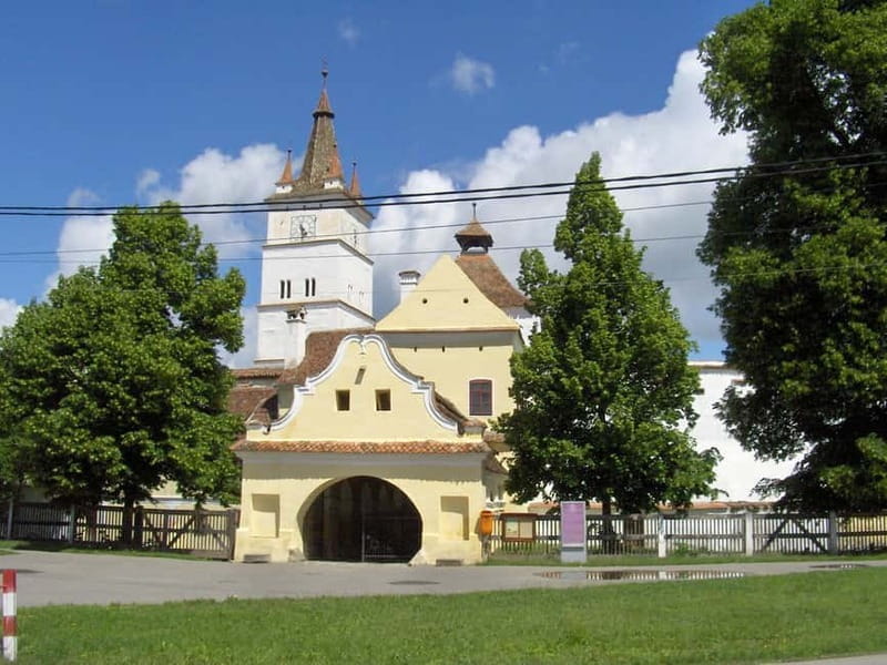 Brasov: Saxon Fortified Churches Day Tour with Guide - What Makes This Tour Stand Out?