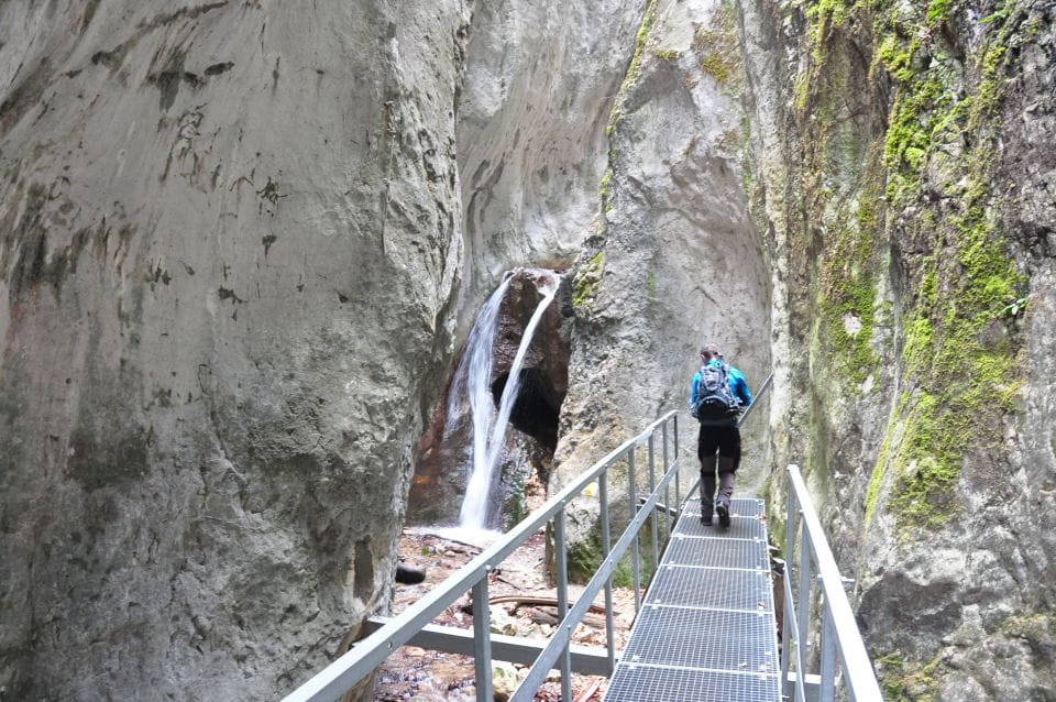 Brasov: Small-Group 7 Ladders Canyon Day Trip - Activity Highlights