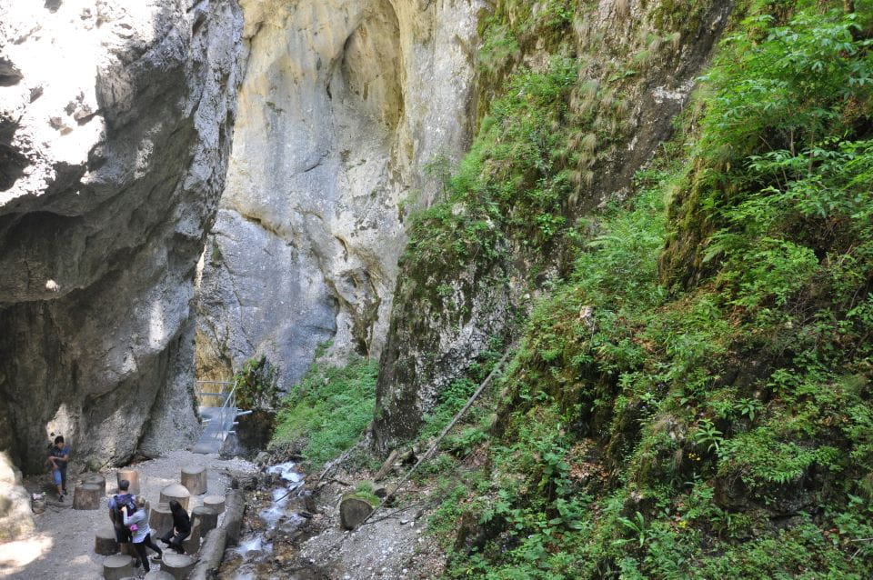 Brasov: Small-Group 7 Ladders Canyon Day Trip - Booking and Reservation