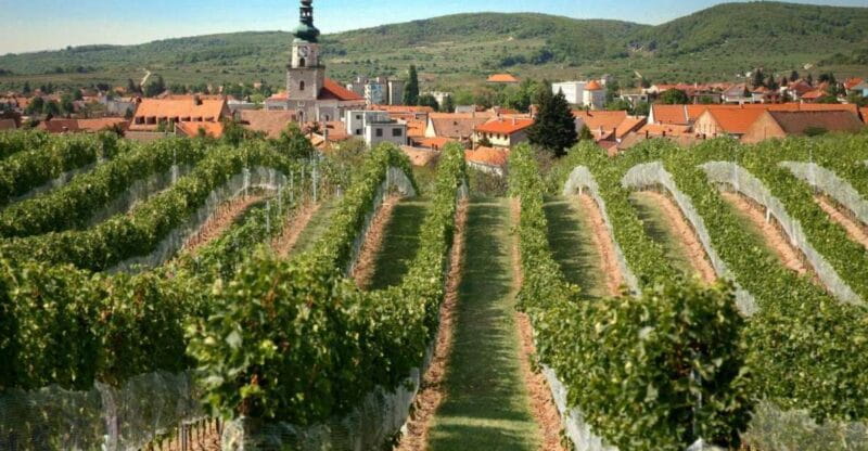 Bratislava: 6,5-Hour Carpathian Wine Tour and Tasting - Key points / Takeaways