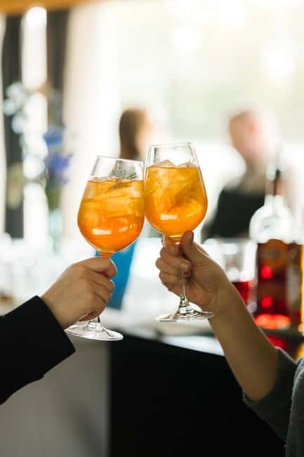 Bratislava: Cruise with Dinner on the Waves of the Danube - Key Points / Takeaways