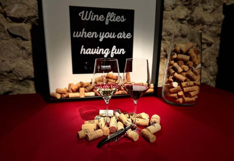 Bratislava: Wine Tasting Experience in the Dark - Exploring the Experience in Depth