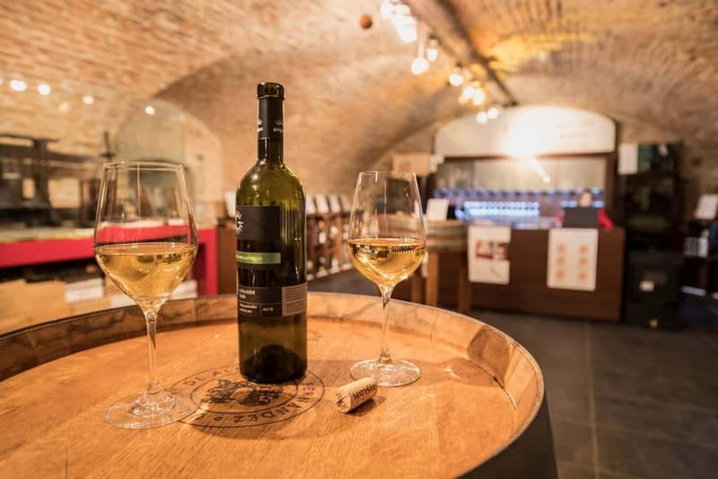 Bratislava: Wine Tasting with Sommelier - Key Points / Takeaways