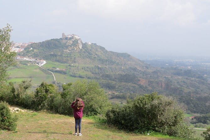 Bread, Wine&Cheese, The Natural Taste - Exploring Angel’s Farm: An Authentic Taste of Portugal
