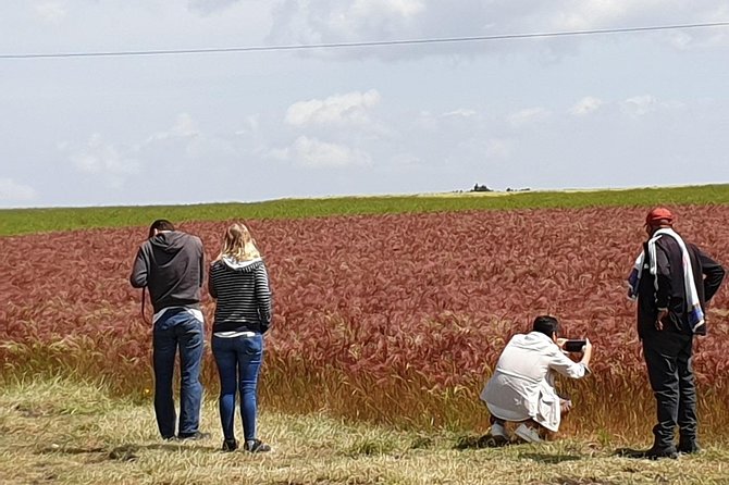 Breathtaking Nature, Wildlife and Cave Church Tour - Free Pickups - Traveler Experiences