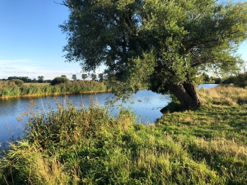 Bremen: Full-Day Kayak Rental on the Wümme River - Key Points / Takeaways