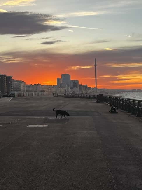 Brighton Beach: Sunrise Hatha Yoga Class with Ocean Views - Brighten Your Morning with Brighton Beach Sunrise Hatha Yoga