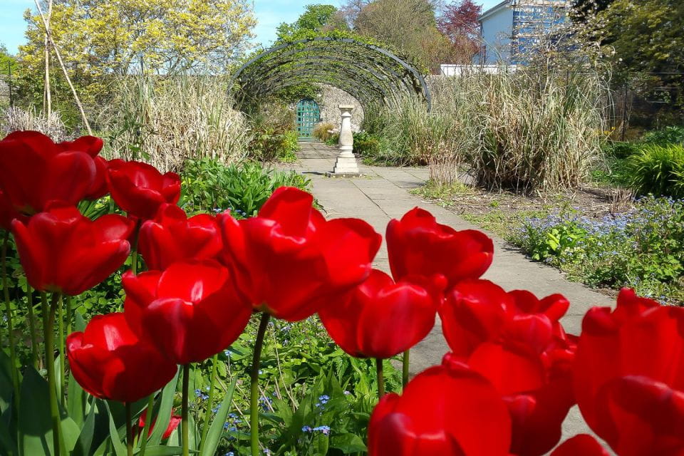 Brighton City Bike Tour - Bike Rental Details