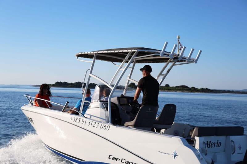 Brijuni Islands: Sunset & Dolphins private boat tour - The Return Journey and Possible Wildlife Encounters