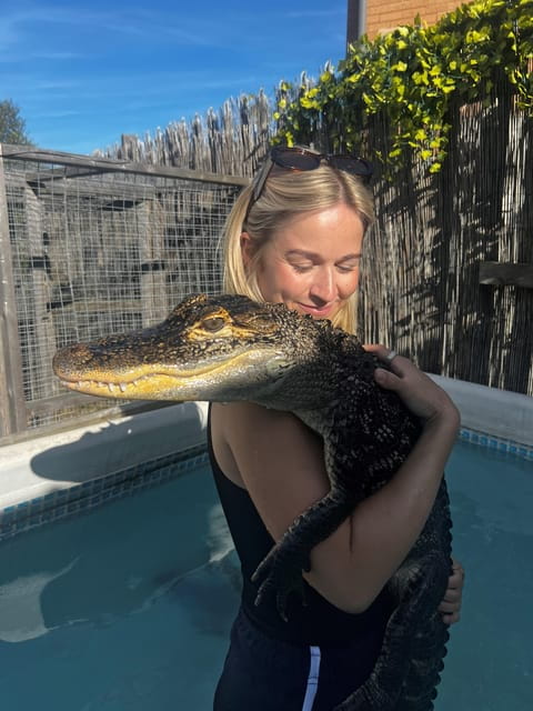 Bristol: Crocodile Swimming Experience with Lunch x2 - Key Points / Takeaways