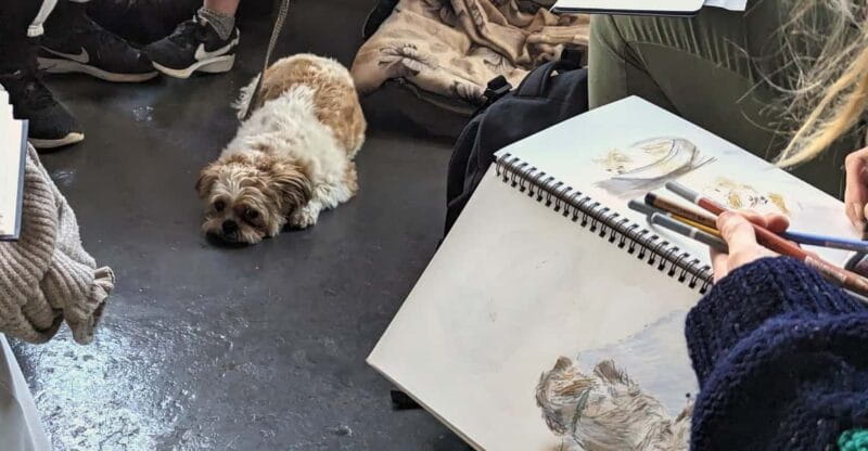 Bristol: Dog Life Drawing led by local Artist Cai Burton - Bristol: Dog Life Drawing led by local Artist Cai Burton — a Creative Twist on Art and Canines