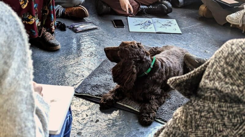 Bristol: Dog Life Drawing led by local Artist Cai Burton - Key points / Takeaways