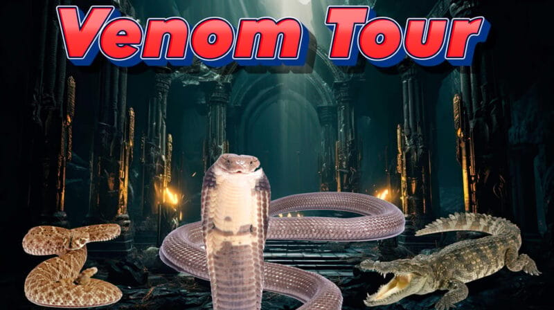 Bristol: Venomous Snake Tour with Reptile Photo - Key points / Takeaways