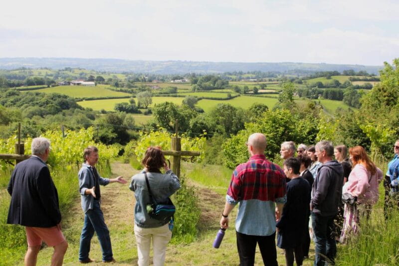 Bristol: Wine & Cheese in the Cheddar Valley - The Logistics and Value of the Experience