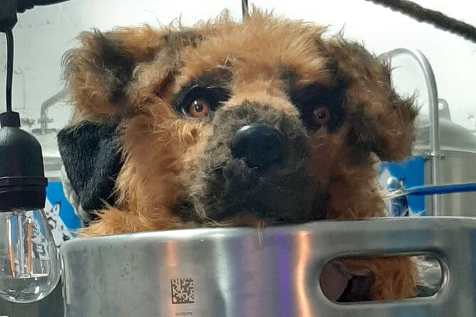 Brixton Craft Brewery Tour - Practicalities and Logistics: What You Need to Know