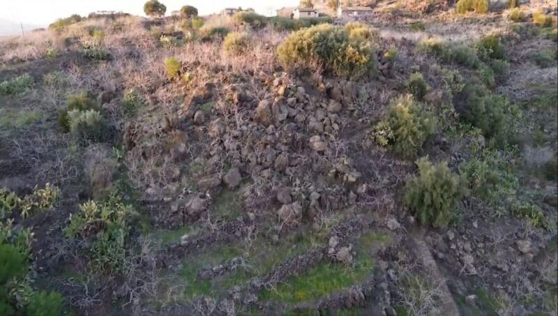 Bronte: Tour e degustazione nelle piantagioni di pistacchi - In Summary: Is It Worth It?