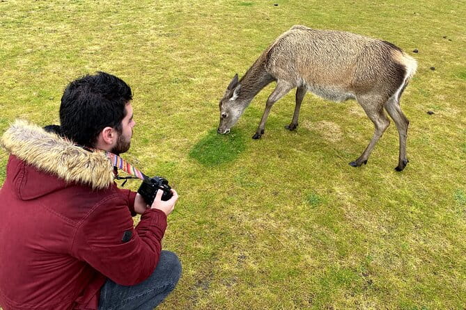 Brooding Glencoe and the Scottish Highlands single day tour. - Discovering the Ancient and Mystical